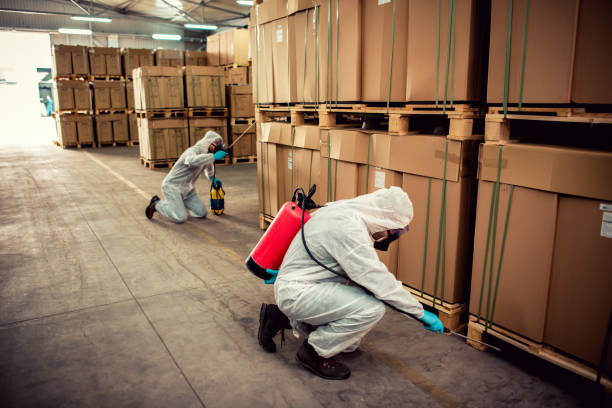 Best Pest Removal Services  in Mount Carmel, OH