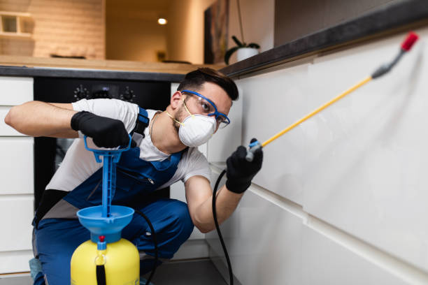 Pest Prevention Services in Mount Carmel, OH