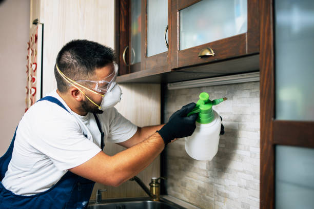 Best Ant Control Services  in Mount Carmel, OH