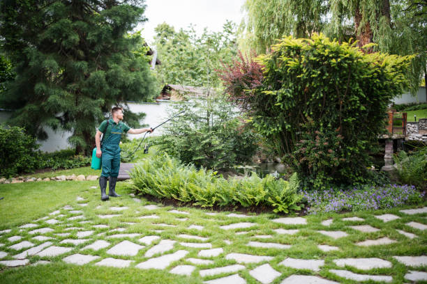 Best Cockroach Control Services  in Mount Carmel, OH