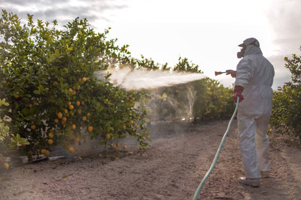 Reliable Mount Carmel, OH Pest Control Solutions