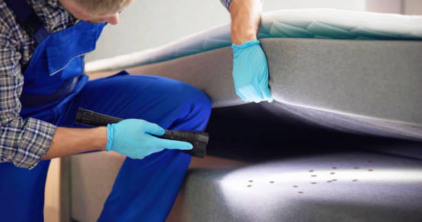 Best Affordable Pest Control Services  in Mount Carmel, OH