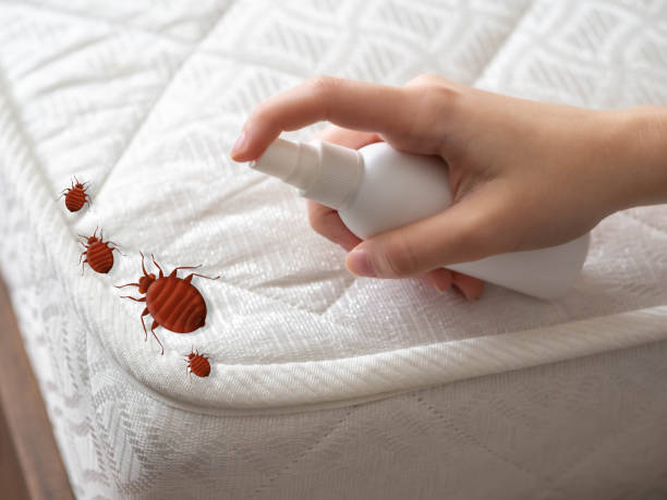 Best Commercial Pest Control Services  in Mount Carmel, OH