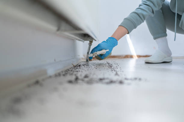 Best Mosquito Control Services  in Mount Carmel, OH